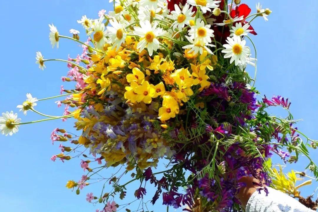 感恩岁月，感谢自己(图4)