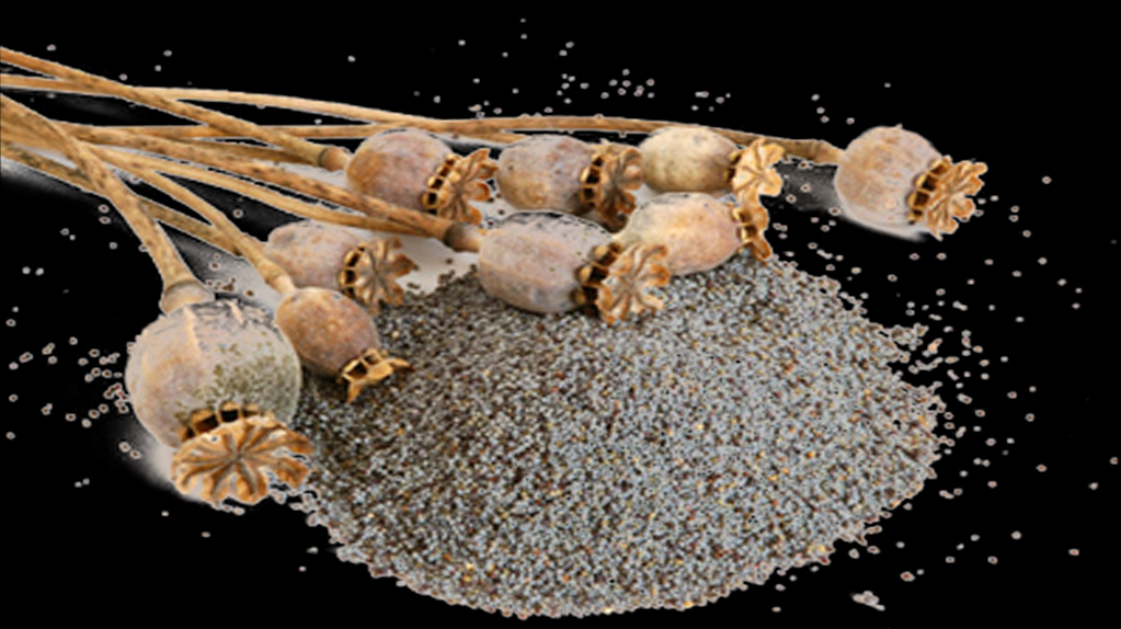 禁毒特辑｜禁毒诗两首(图5)