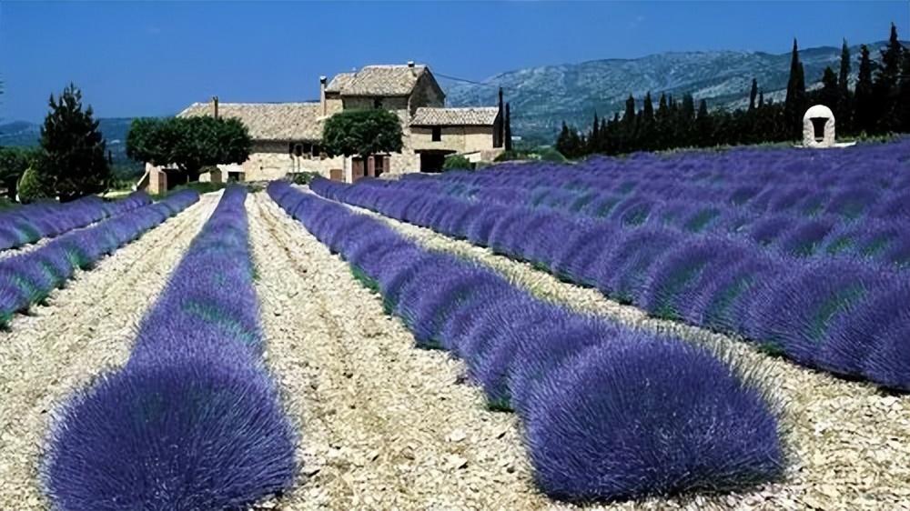 时尚女装的宣传文案：闪耀绚丽，再现时尚女装新风尚！(图2)