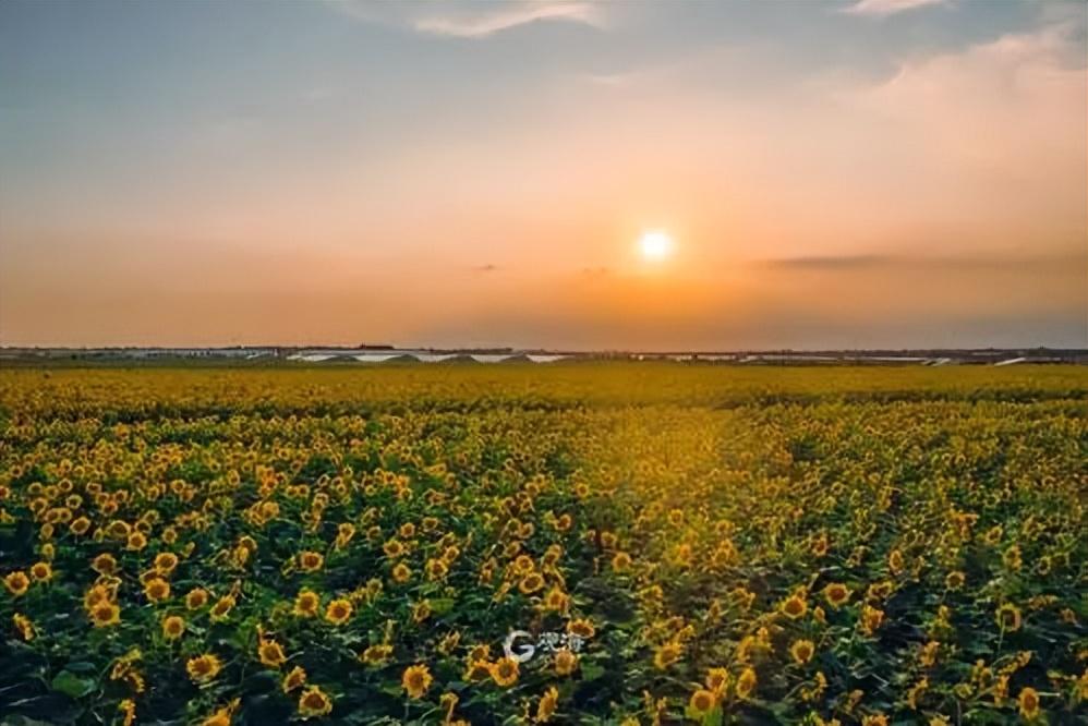 时尚女装的宣传文案：闪耀绚丽，再现时尚女装新风尚！(图3)