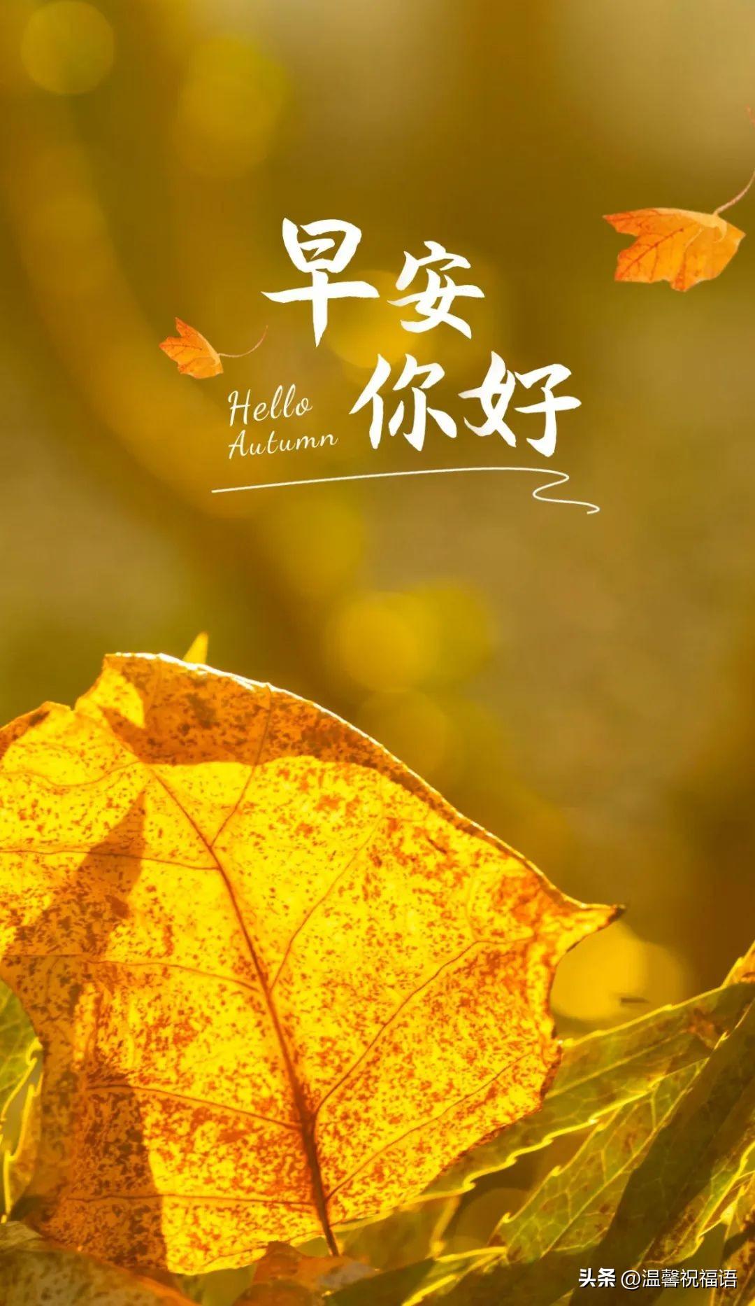 秋天你好，金秋安康，十月深秋暖心祝福语，秋天清晨微信问候语(图2)