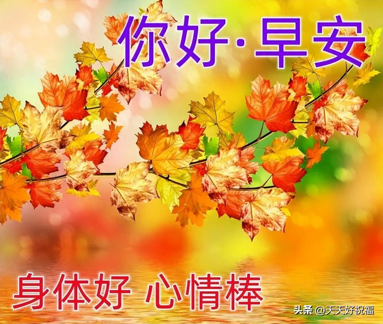 最新早上好祝福问候语，简短温馨秋天问候语句大全(图1)
