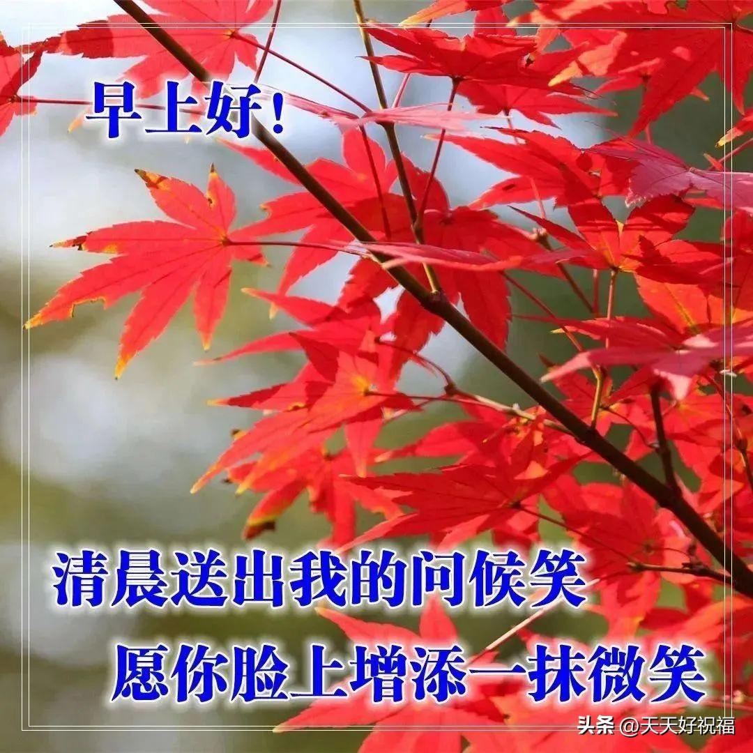 最新早上好祝福问候语，简短温馨秋天问候语句大全(图2)