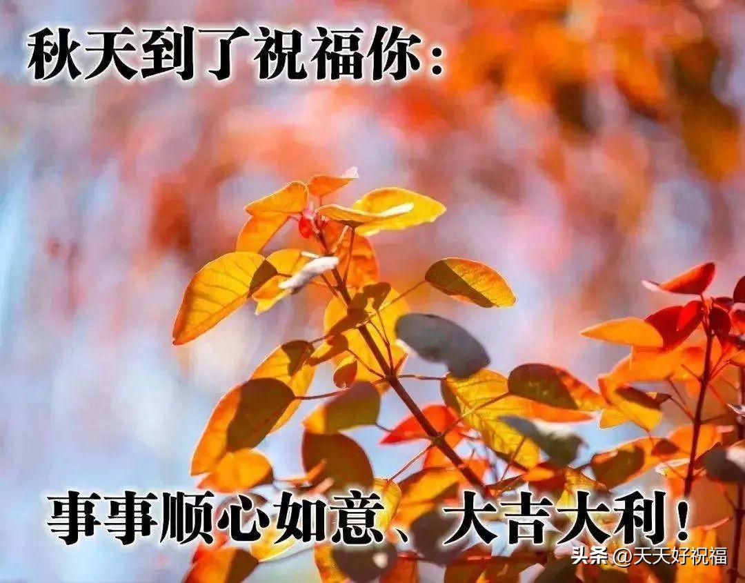 最新早上好祝福问候语，简短温馨秋天问候语句大全(图4)