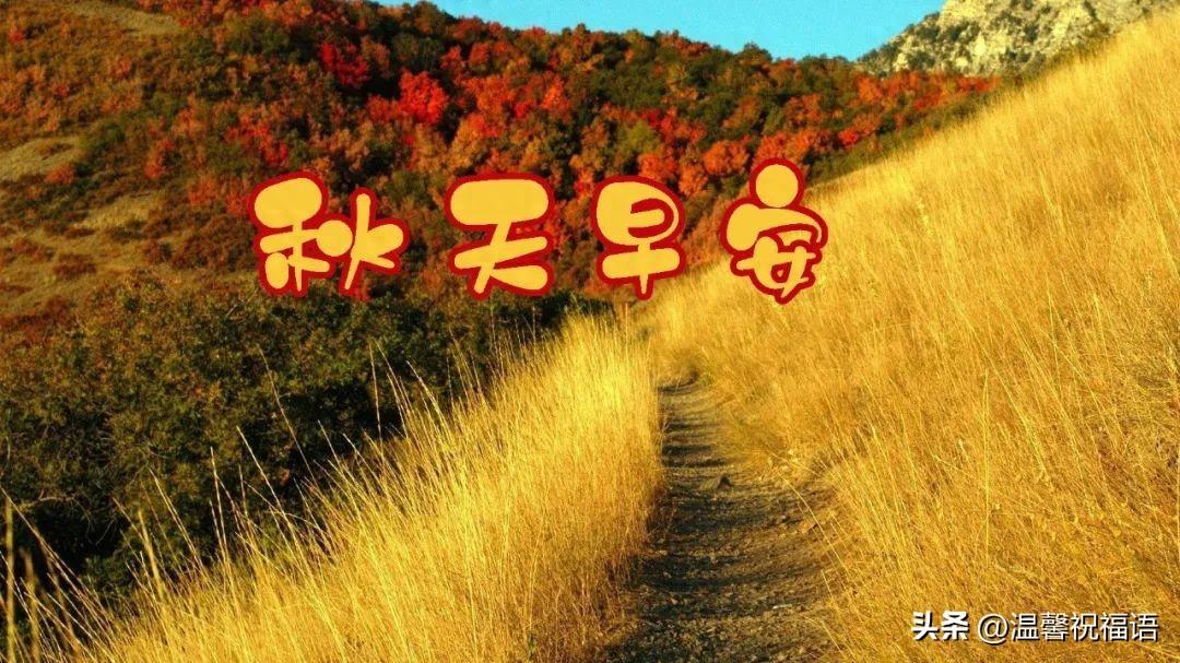 金秋已至，万事可期，送你10条秋天最好的祝福语(图1)