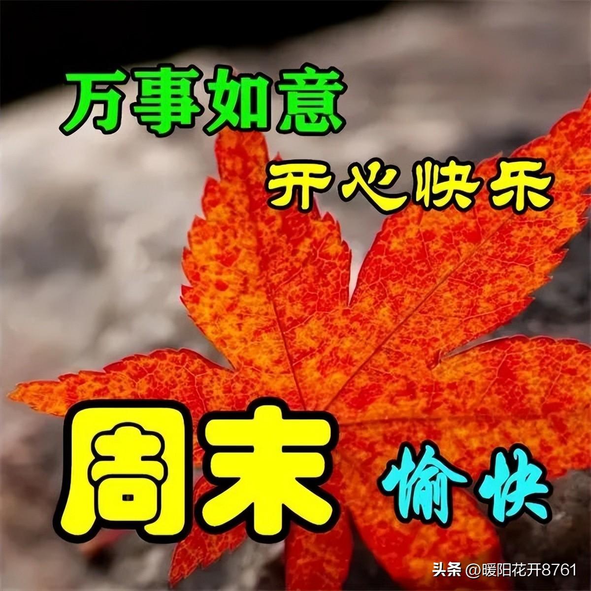 最新周末愉快暖心问候语，简短温馨一句祝福，秋天周末快乐！(图2)