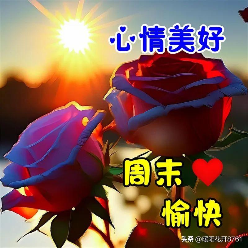 最新周末愉快暖心问候语，简短温馨一句祝福，秋天周末快乐！(图3)