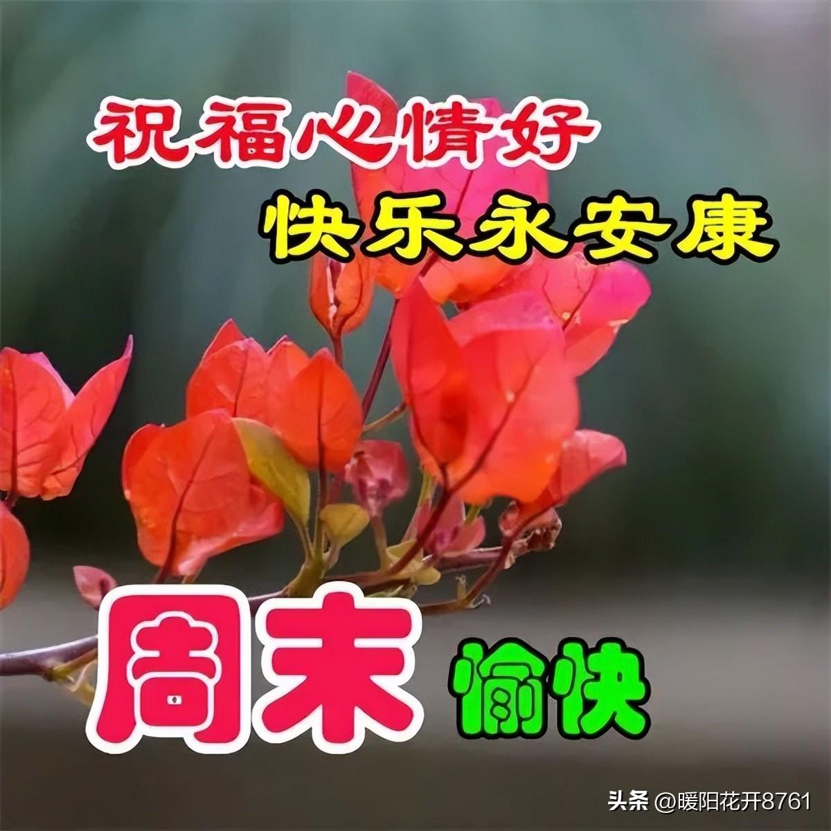 最新周末愉快暖心问候语，简短温馨一句祝福，秋天周末快乐！(图4)