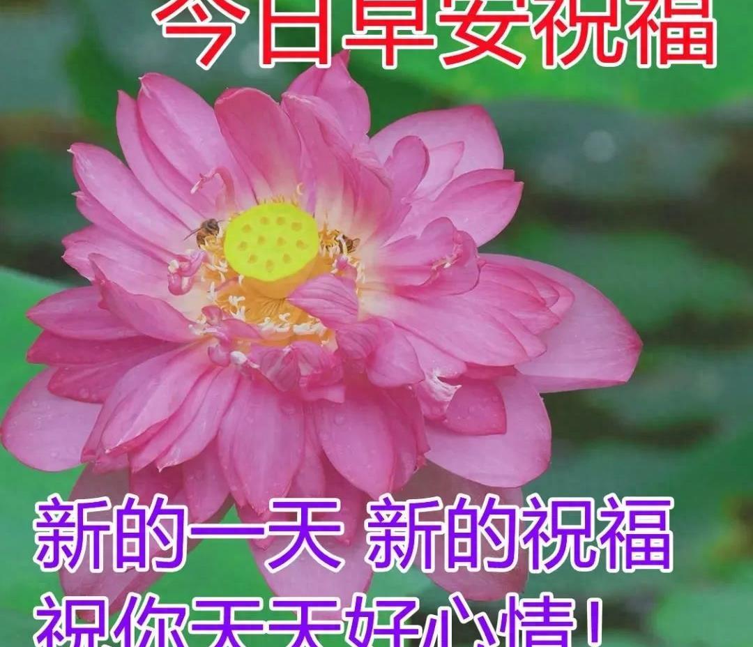秋天最美祝福句子大全简短 早安祝福语句句暖心简短(图2)