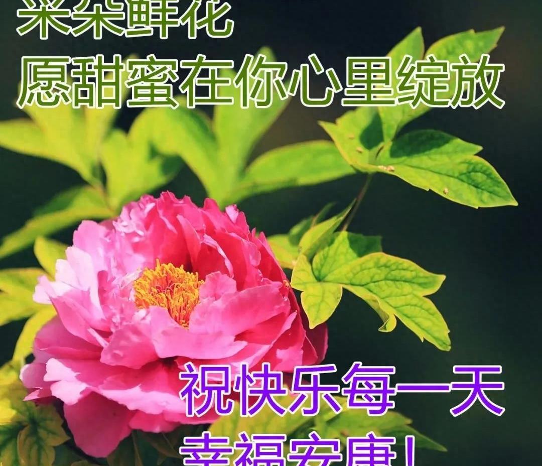 秋天最美祝福句子大全简短 早安祝福语句句暖心简短(图3)