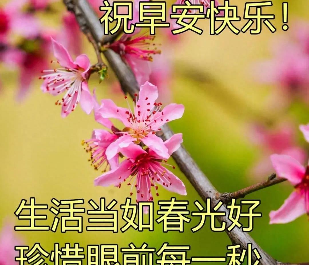 秋天最美祝福句子大全简短 早安祝福语句句暖心简短(图4)