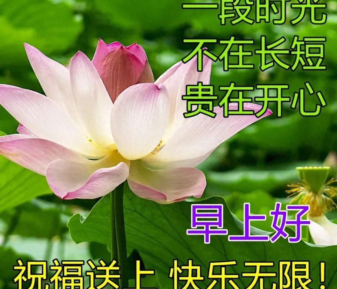 秋天最美祝福句子大全简短 早安祝福语句句暖心简短(图5)