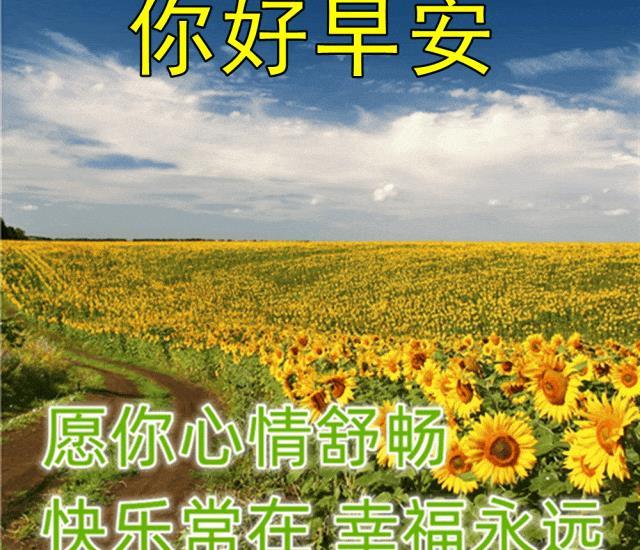 秋天最美祝福句子大全简短 早安祝福语句句暖心简短(图7)