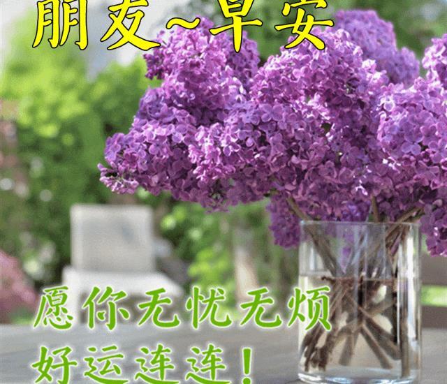 秋天最美祝福句子大全简短 早安祝福语句句暖心简短(图8)