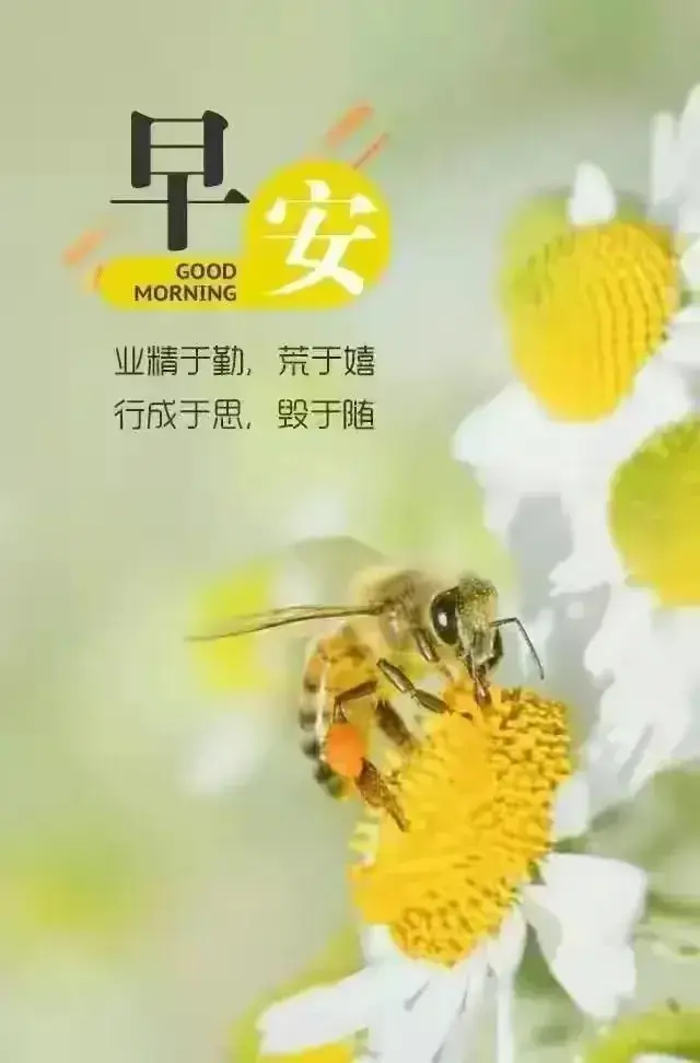 早安问候语，简短暖心一句话，祝秋天快乐！(图12)