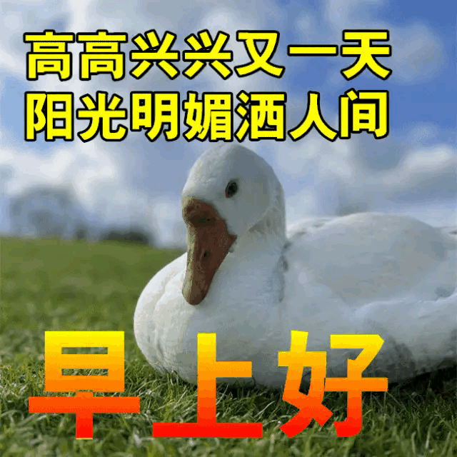 早安问候语，简短暖心一句话，祝秋天快乐！(图13)