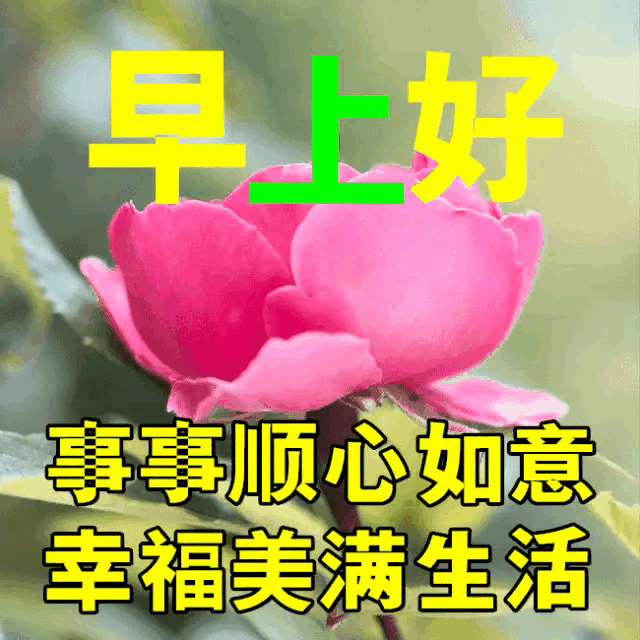 早安问候语，简短暖心一句话，祝秋天快乐！(图15)