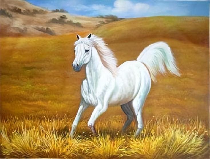 十首描写马的古诗，点开文章看看有没有你知道的(图11)