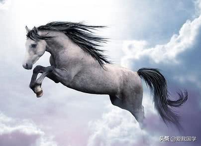 银鞍照白马，飒沓如流星。古诗词中描写马的名句！附《马诗》23首(图1)