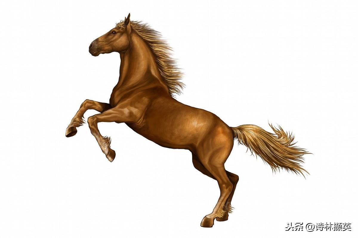 飞花令——马。射人先射马，擒贼先擒王(图2)