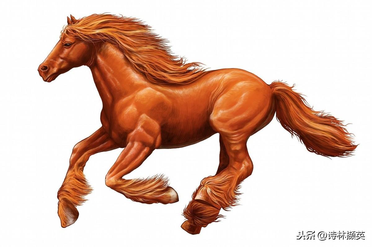 飞花令——马。射人先射马，擒贼先擒王(图3)