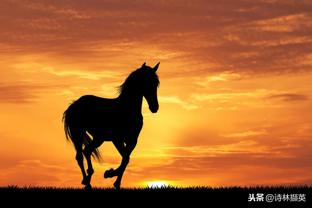 飞花令——马。射人先射马，擒贼先擒王(图4)