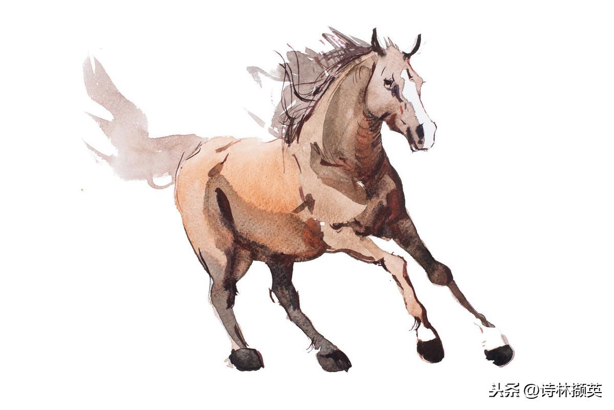 飞花令——马。射人先射马，擒贼先擒王(图5)