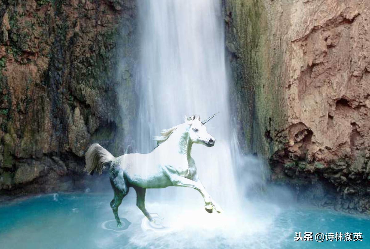 飞花令——马。射人先射马，擒贼先擒王(图12)