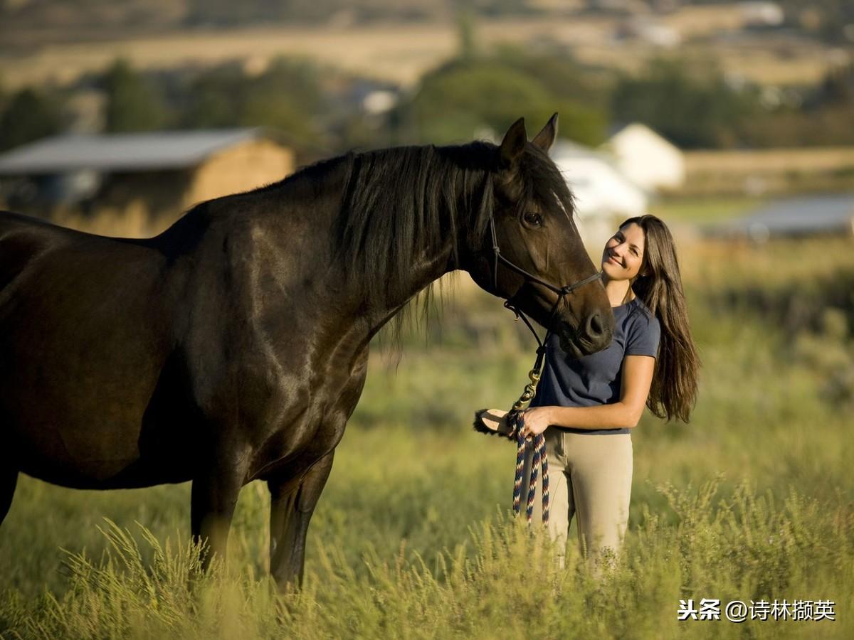 飞花令——马。射人先射马，擒贼先擒王(图16)