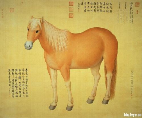 《想当年,金戈铁马,气吞万里如虎》古诗中《写马名句》(图2) 《想当年,金戈铁马,气吞万里如虎》古诗中《写马名句》(图2)