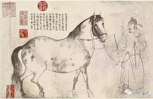 《想当年,金戈铁马,气吞万里如虎》古诗中《写马名句》(图15) 《想当年,金戈铁马,气吞万里如虎》古诗中《写马名句》(图15)