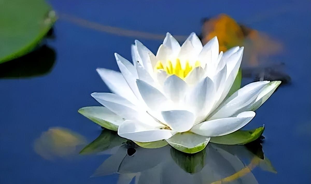 做人切莫患得患失，牢记曾国藩这16字座右铭，把握当下，百事可成(图3)