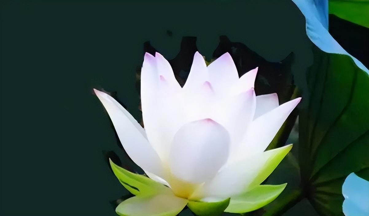 做人切莫患得患失，牢记曾国藩这16字座右铭，把握当下，百事可成(图4)