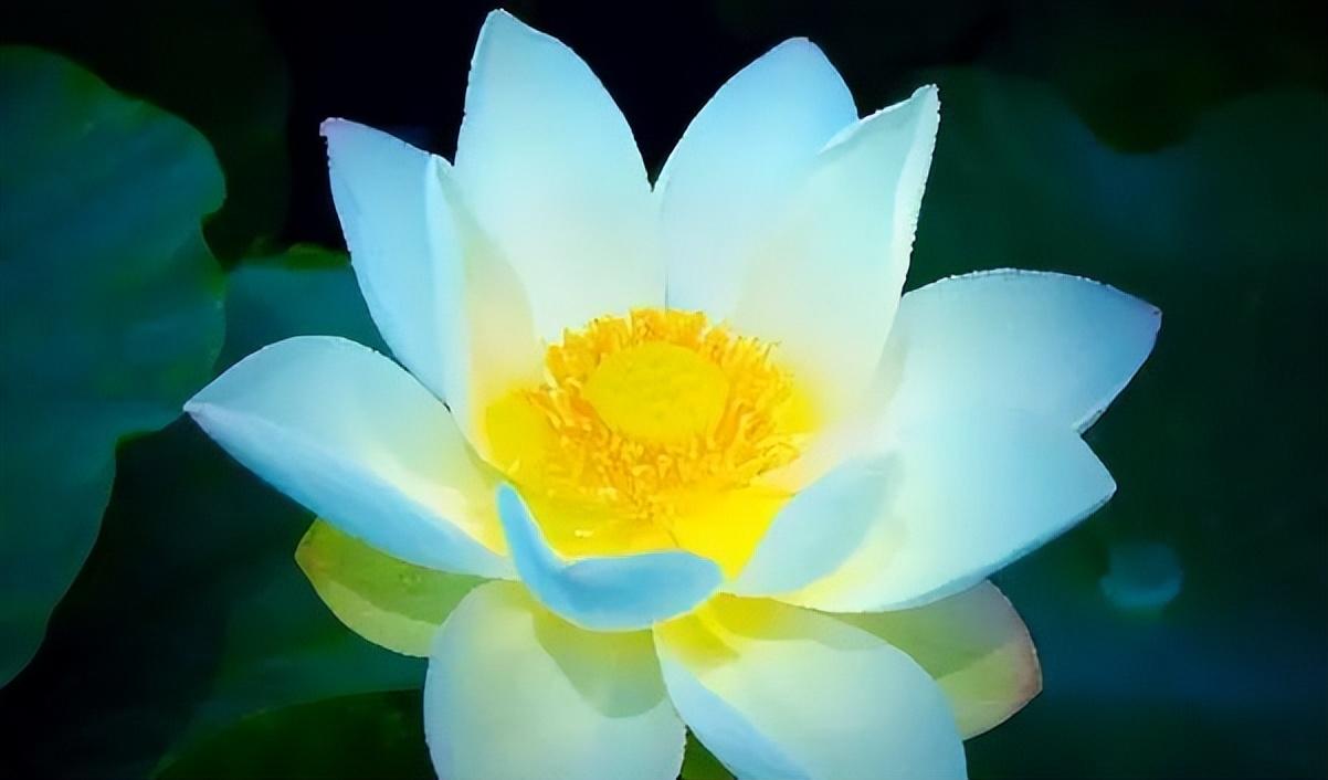 做人切莫患得患失，牢记曾国藩这16字座右铭，把握当下，百事可成(图5)