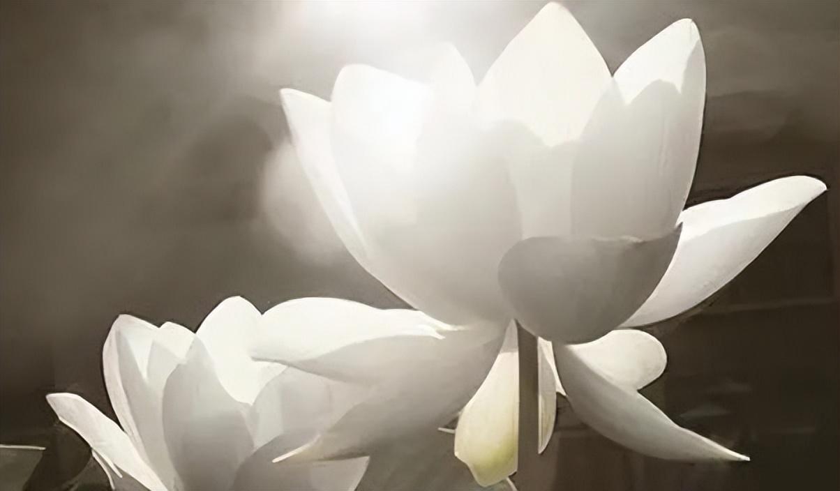 做人切莫患得患失，牢记曾国藩这16字座右铭，把握当下，百事可成(图6)