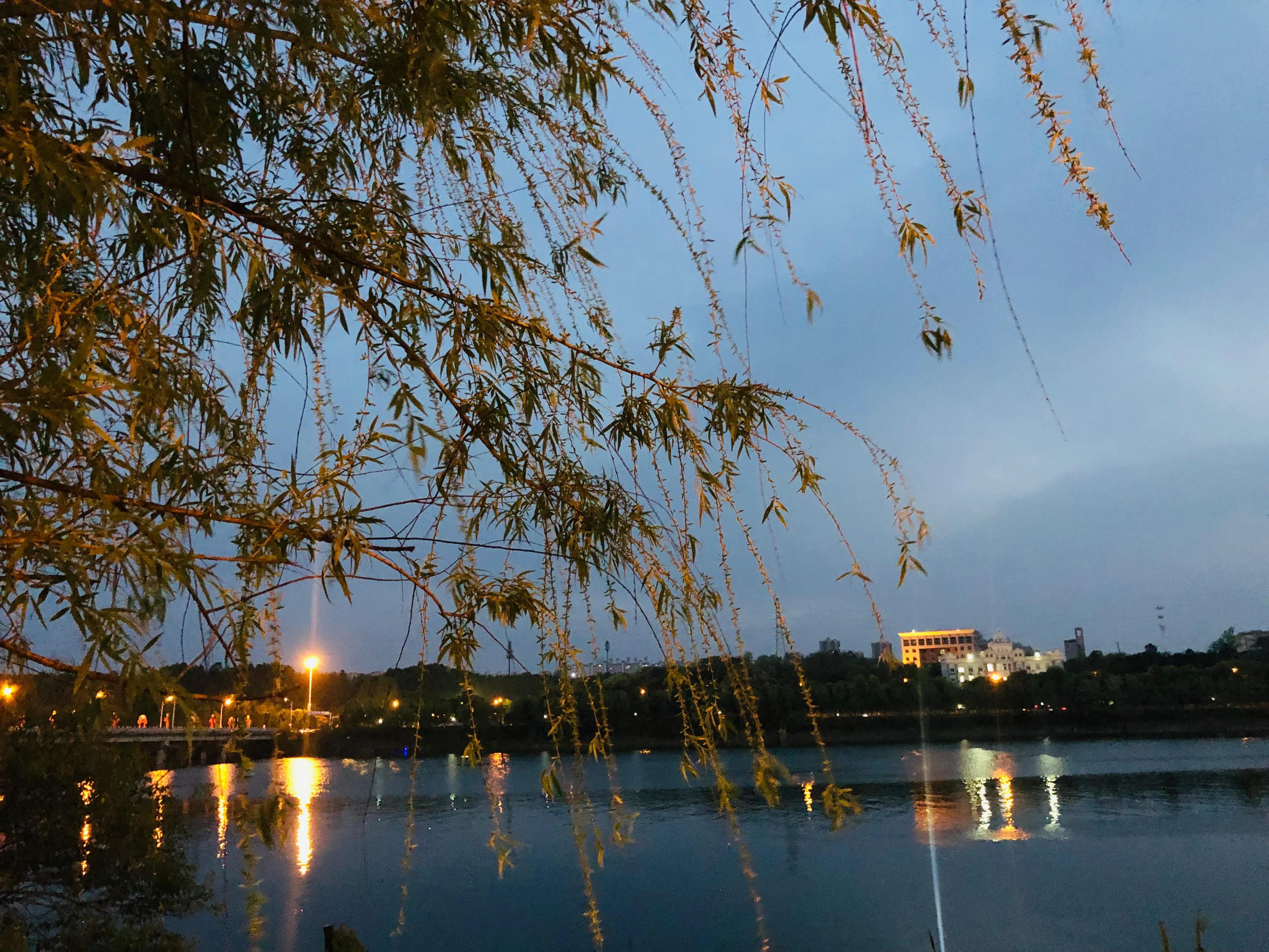 渡过难关,就是岁月静好(图1) 渡过难关,就是岁月静好(图1)