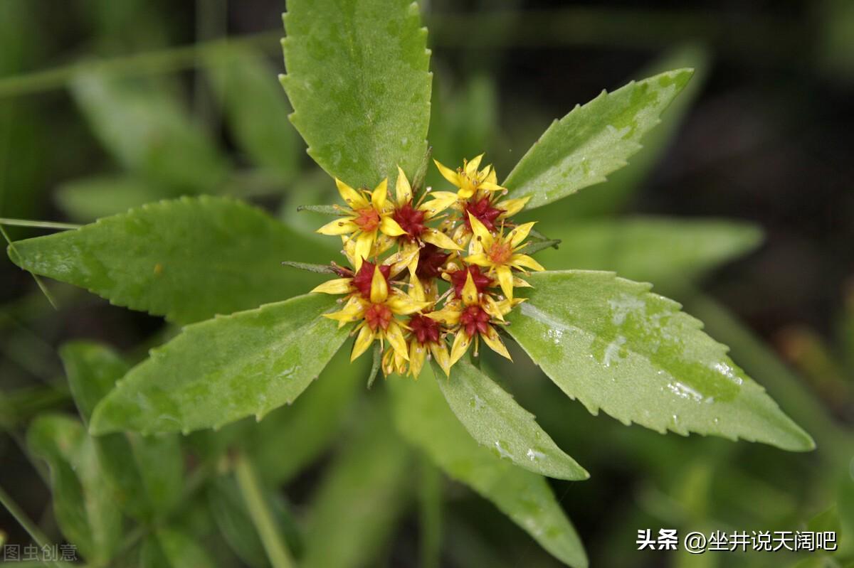 悔之晚矣：说说我的第一次夜不归宿(图2)