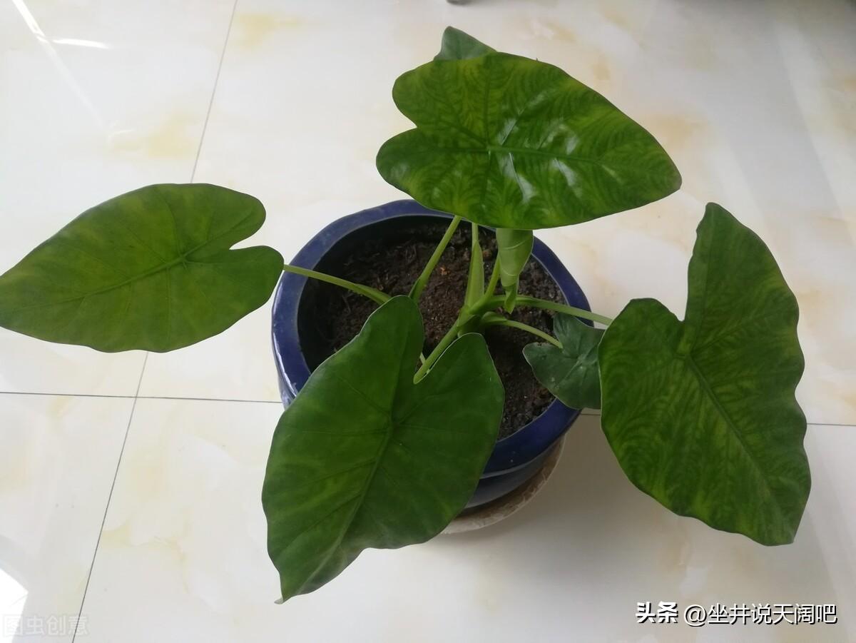 悔之晚矣：说说我的第一次夜不归宿(图3)