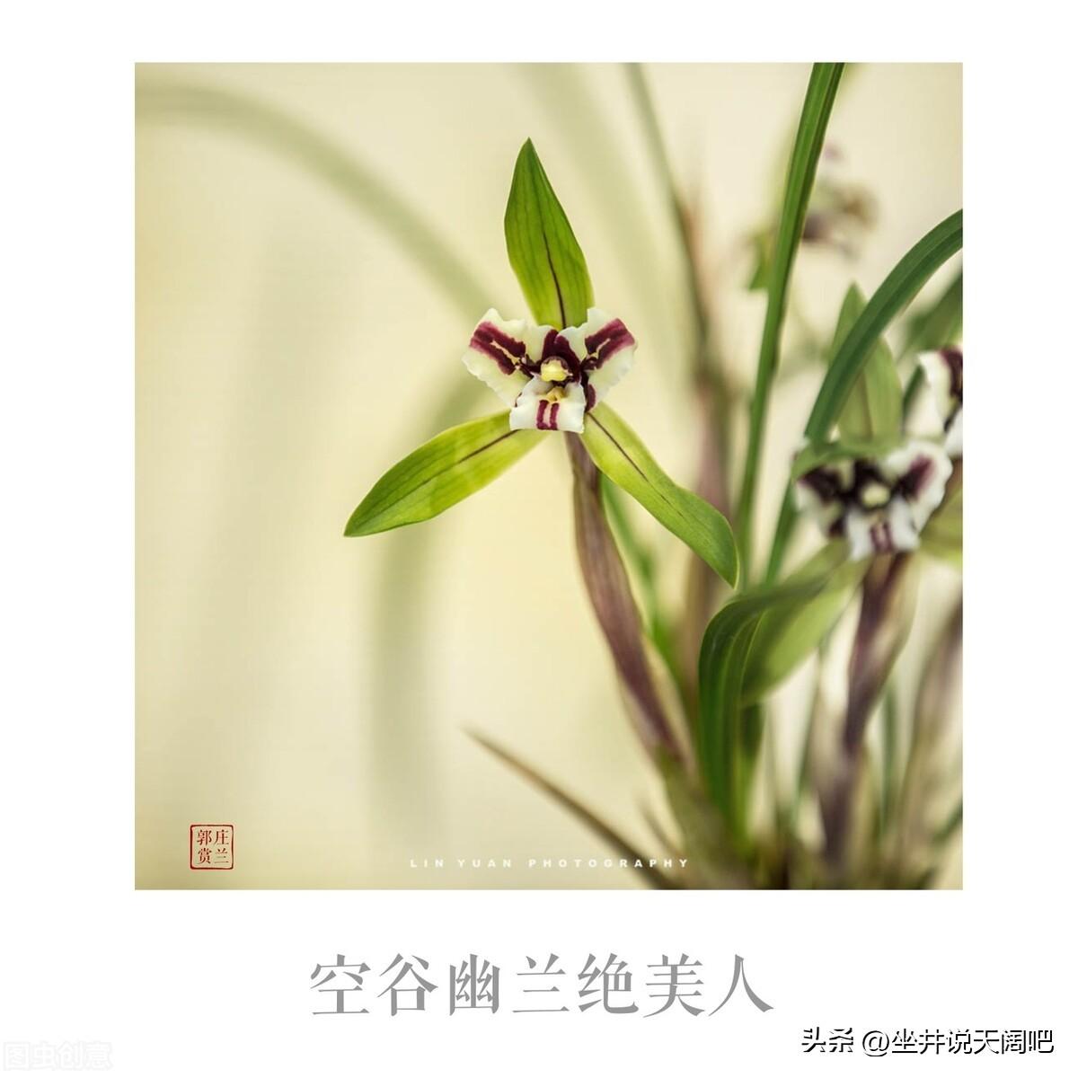 悔之晚矣：说说我的第一次夜不归宿(图4)