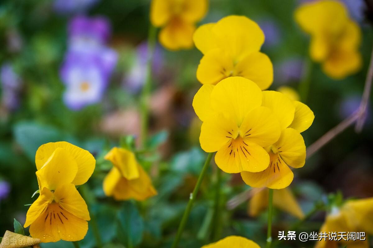 悔之晚矣：说说我的第一次夜不归宿(图6)