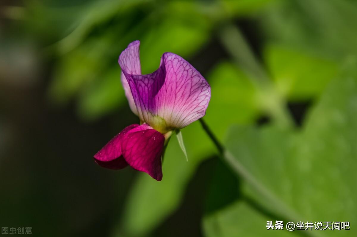 悔之晚矣：说说我的第一次夜不归宿(图7)