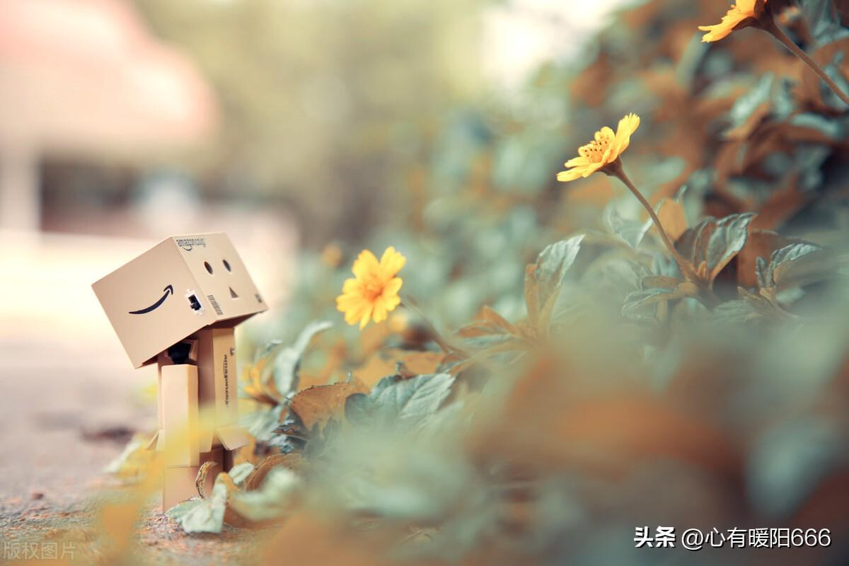 微信签名59句，简短干净高级感文案，高雅有内涵，格局大气场强(图1)