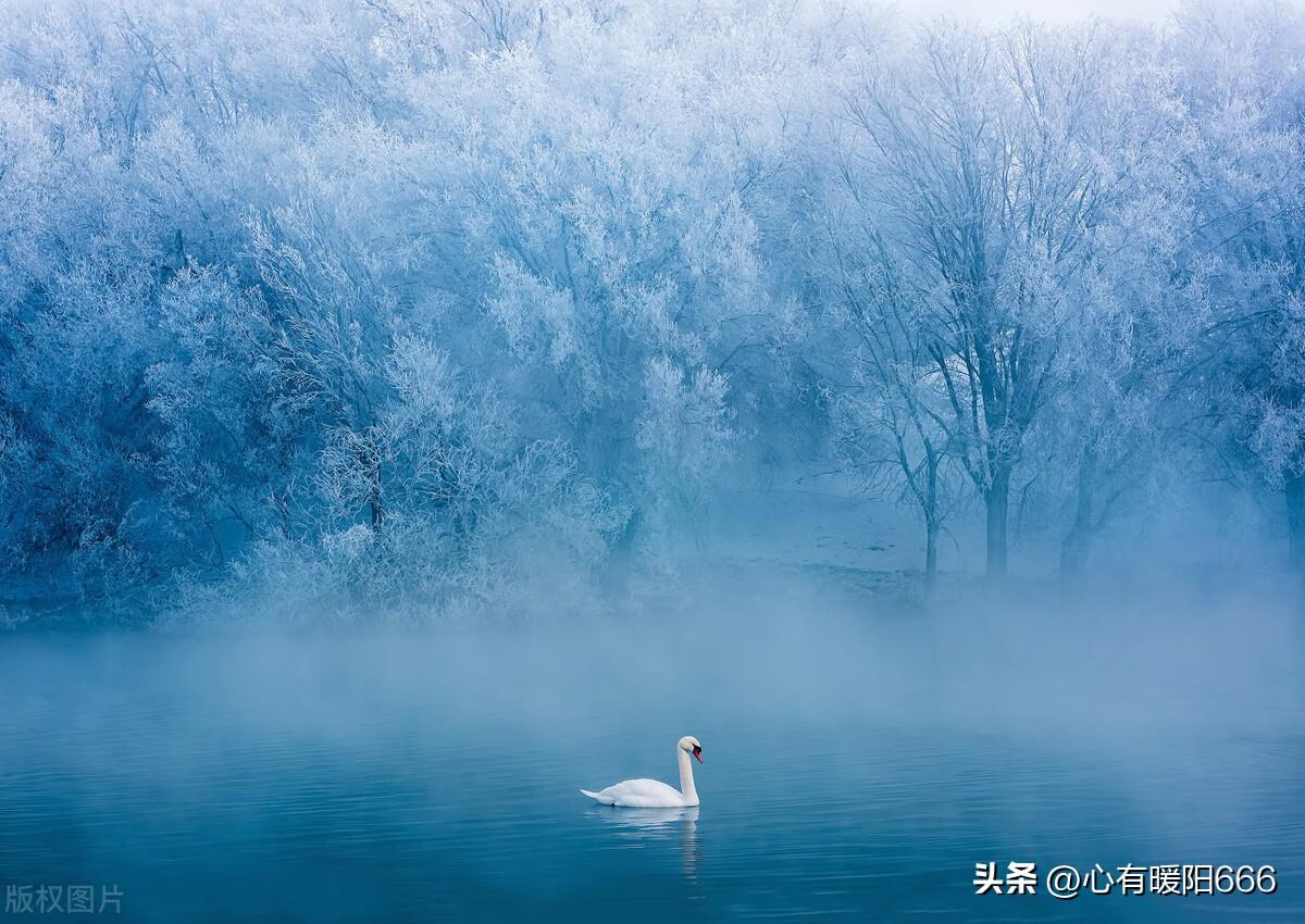 微信签名59句，简短干净高级感文案，高雅有内涵，格局大气场强(图6)