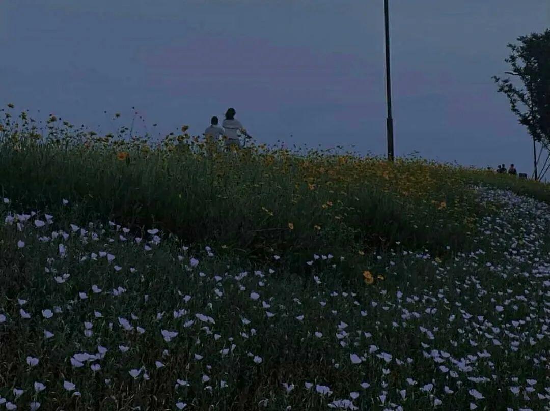 惊艳许久的高级短句文案(图1)