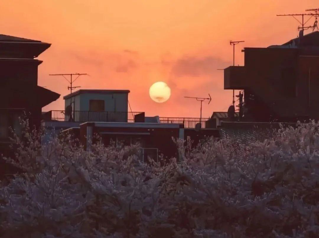 惊艳许久的高级短句文案(图2)