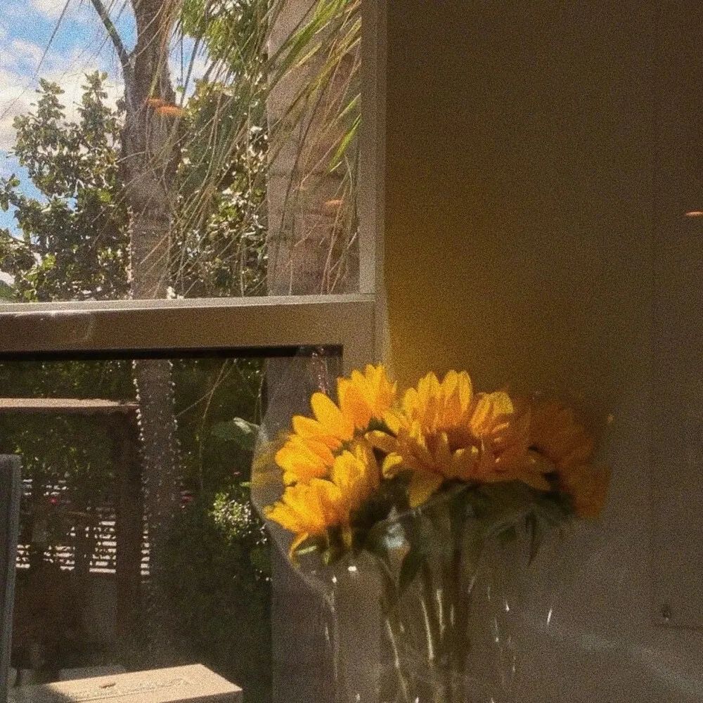 惊艳许久的高级短句文案(图4)