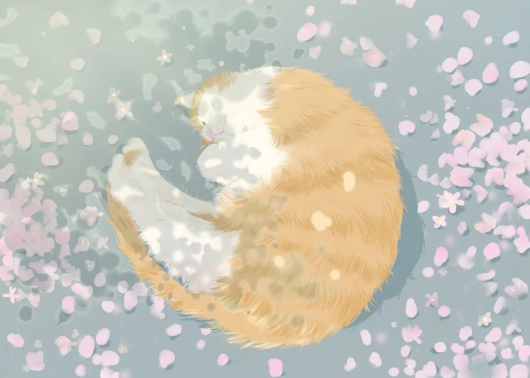 朋友圈最受欢迎的早安诗词，句句治愈正能量(图1)