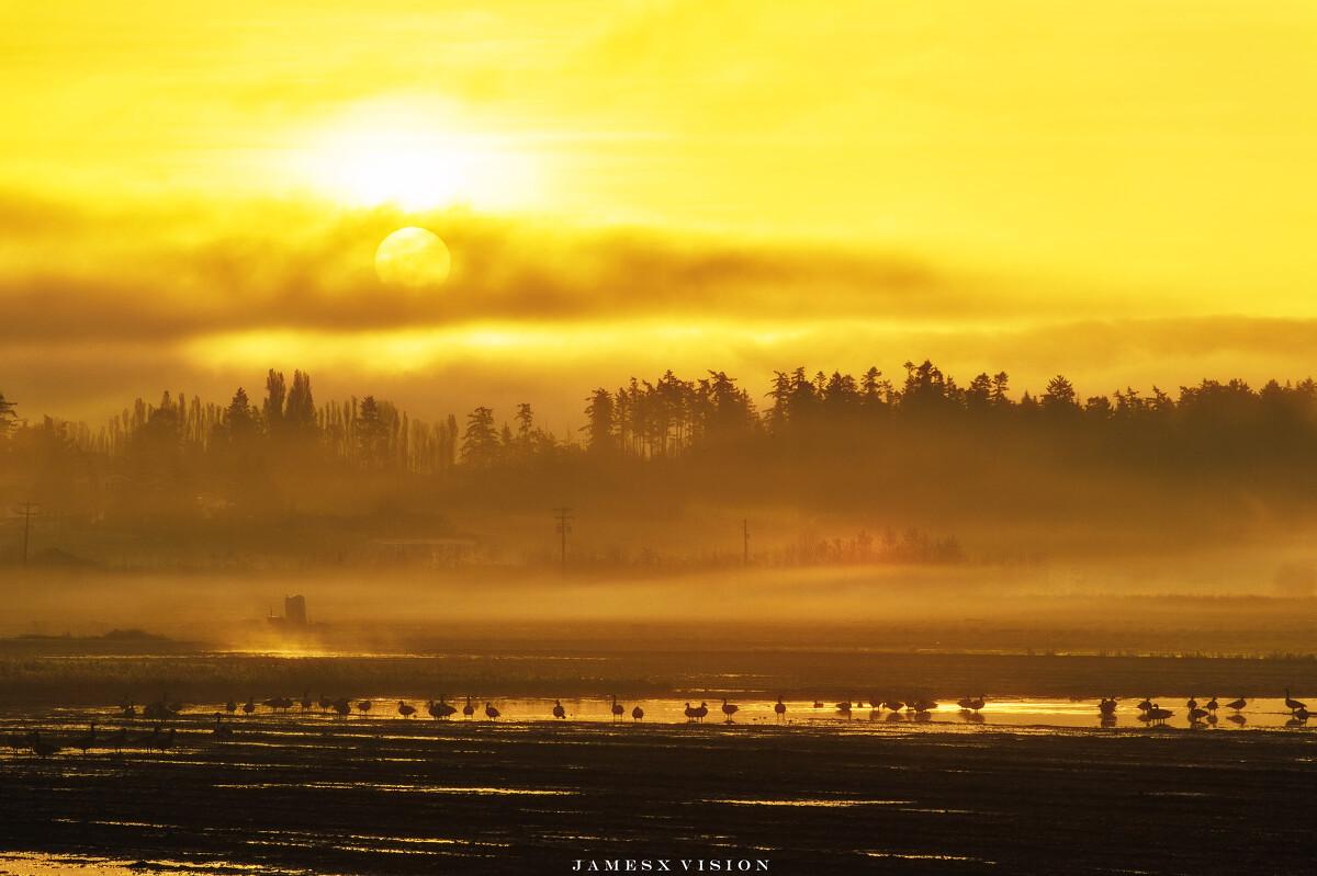 二十首关于早起的古诗词，秋生残夜惊心早，愁入中年熟睡难(图7)