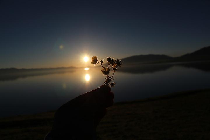 二十首关于早起的古诗词，秋生残夜惊心早，愁入中年熟睡难(图8)