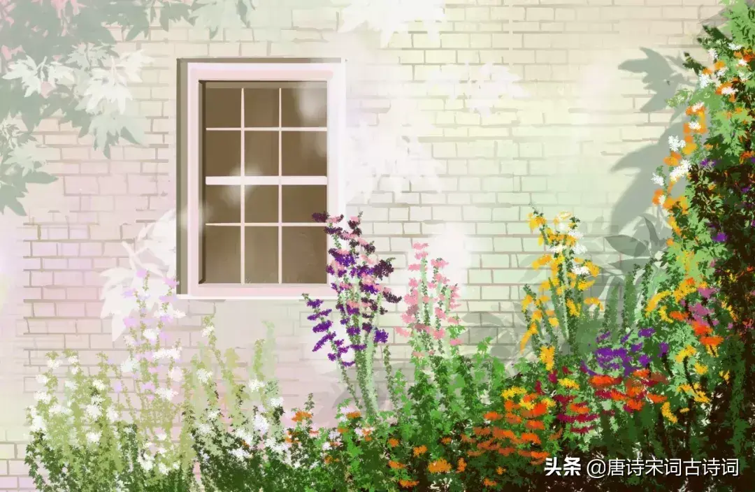 一年之计在于春，一天之计在于晨，每一个清晨，都值得为之醒来(图7)